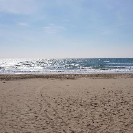 Studio Naturiste "Sunshine" Heliopolis Fg 14 Apartment Agde Exterior foto