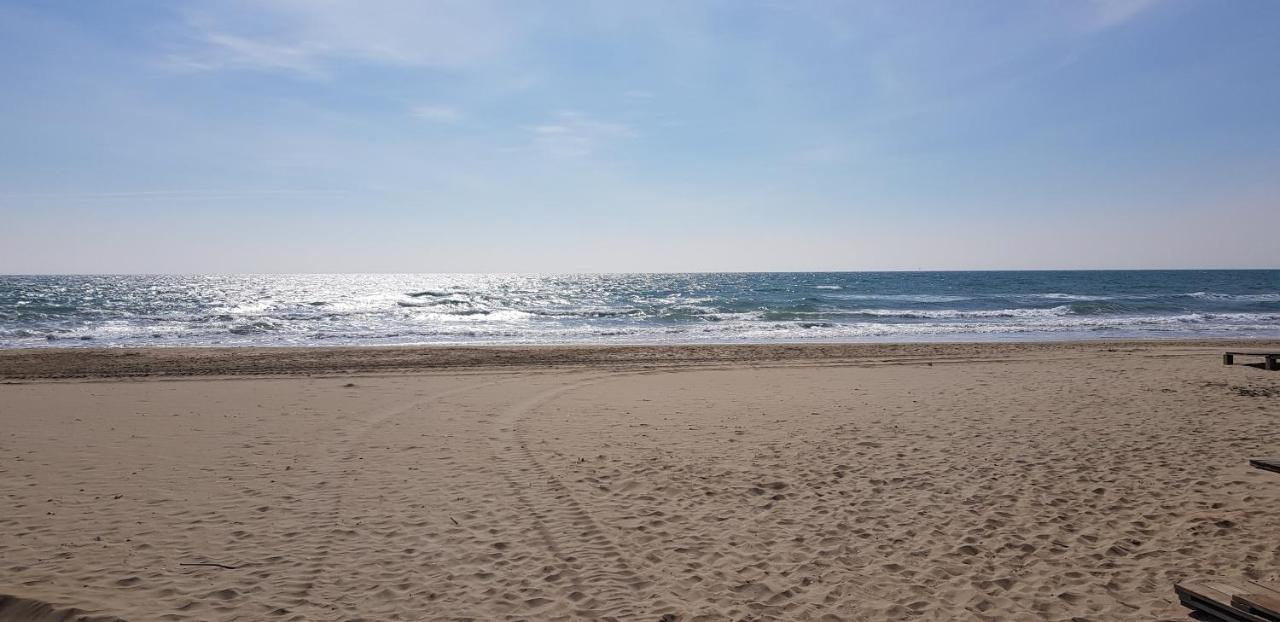Studio Naturiste "Sunshine" Heliopolis Fg 14 Apartment Agde Exterior foto